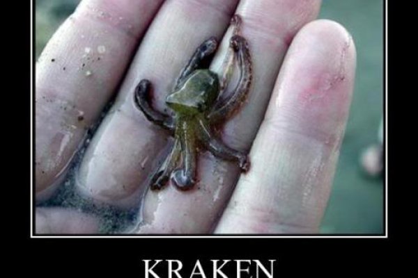 Kraken krn