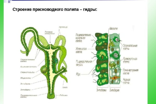 Кракен маркетплейс официальный сайт