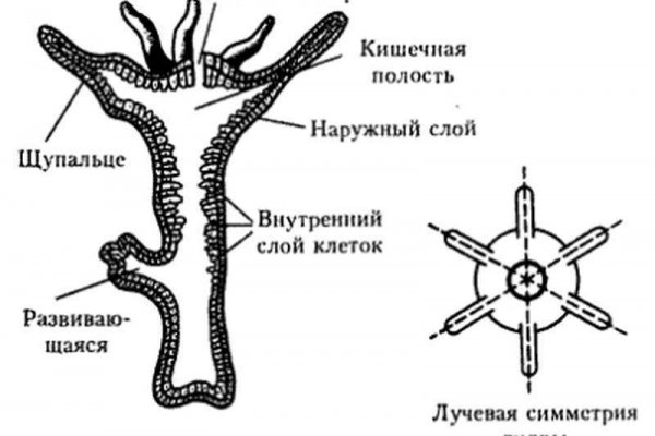 Кракен даркнет регистрация