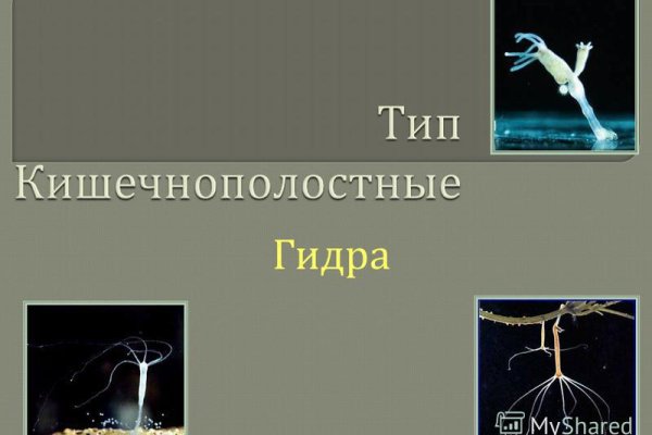 Почему сегодня не работает площадка кракен