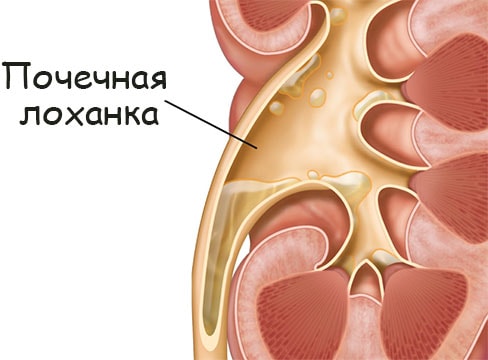 Рабочие ссылки и зеркала кракен